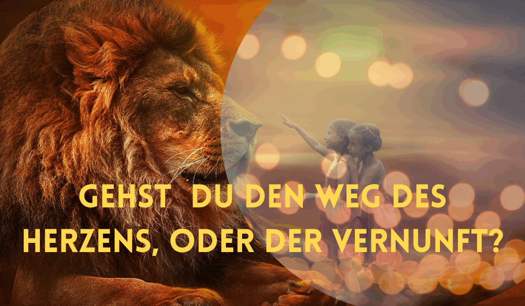 Neumond, Neuausrichtung, Neubeginn