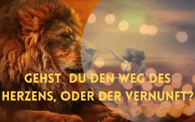Neumond, Neuausrichtung, Neubeginn